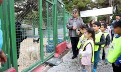 Gaziantep’te miniklerden sokak hayvanlarına anlamlı destek