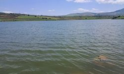Gaziantep'te yağışlar göletleri doldurdu