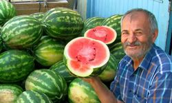 Gaziantep’te güz karpuzu mesaisi sürüyor