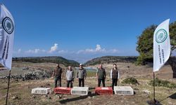 Gaziantep’te kınalı keklikler doğal yaşamla buluşturuldu