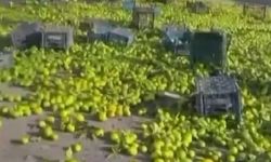 Gaziantep'te otoyola mandalinalar saçıldı
