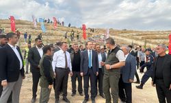 Nizip Zeytin Festivali fidan dikimiyle başladı