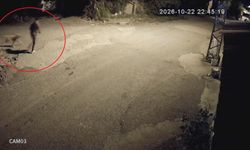 Köpeği çalınan kadın isyan etti: ''Başka bir şey çalsaydın''