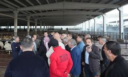 Umut Yılmaz duyurdu: Uygun fiyatlı et satış yeri belli oldu
