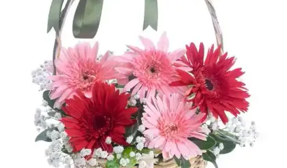 Çiçek Göndermek Neden Hâlâ En Anlamlı Jestlerden Biri?