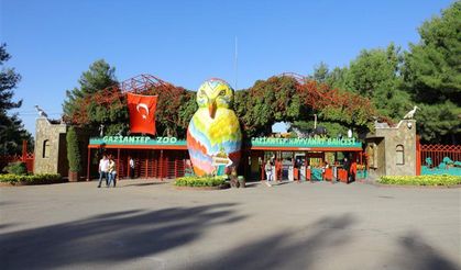 Gaziantep hayvanat bahçesi doğa ve hayvan severleri bekliyor