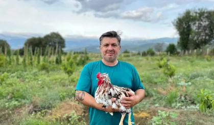Büyükşehri Bıraktı, Şimdi Niksar’da Üzüm Üretiyor
