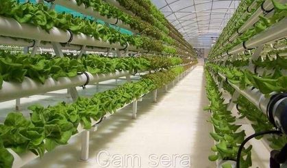 Topraksız tarım nedir?