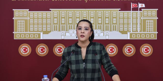 Sevda Karaca'dan  asgari ücret resti