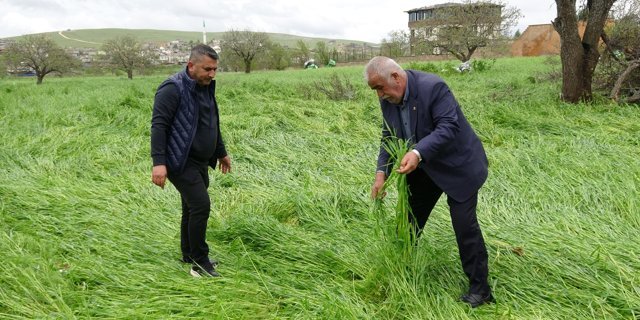Süper hücre Gaziantep’te hububatı vurdu
