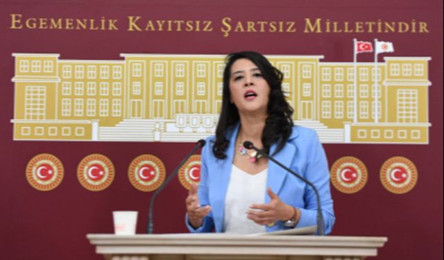 Karaca, bütçe görüşmelerinde Gaziantep firmalarını anlattı