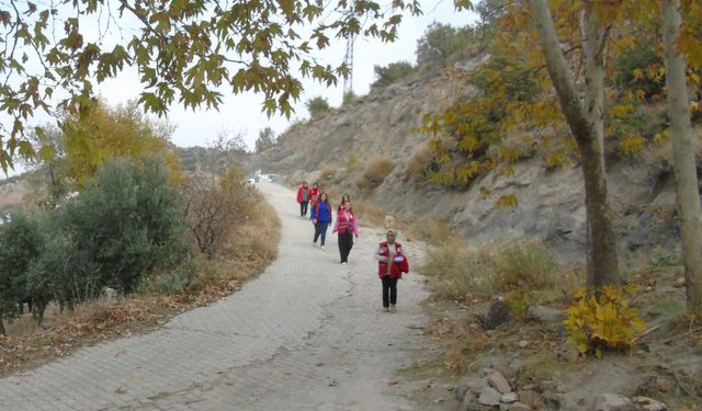 Kızılay gönüllüleri yaşlı kadının zeytin hasadını yaptı