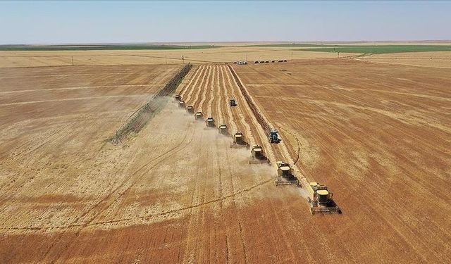 Çiftçilere bugün tarımsal destekleme ödemesi yapılacak