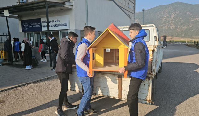 Meslek lisesi öğrencileri sokak hayvanları için kulübe yaptı