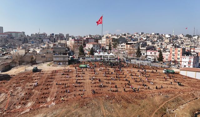 29. Etap Şehitkamil Ormanı Hacıbaba’da oluşturuldu