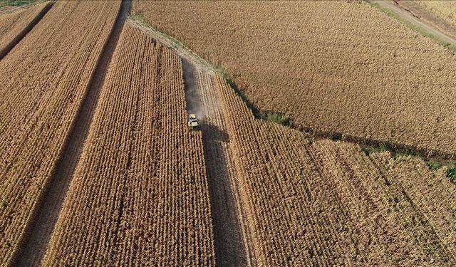 Tarım ürünleri üretici fiyat endeksi yıllık yüzde 29,89 arttı