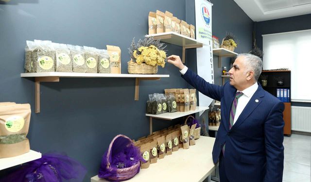 Gaziantep Üniversitesi, Fitotabaum doğal ürünleriyle dikkat çekiyor.