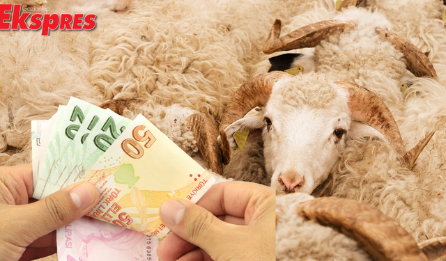 2025 Kurban Bayramı Öncesi Emekliye İkramiye! Ödemeler Ne Zaman Yapılacak?