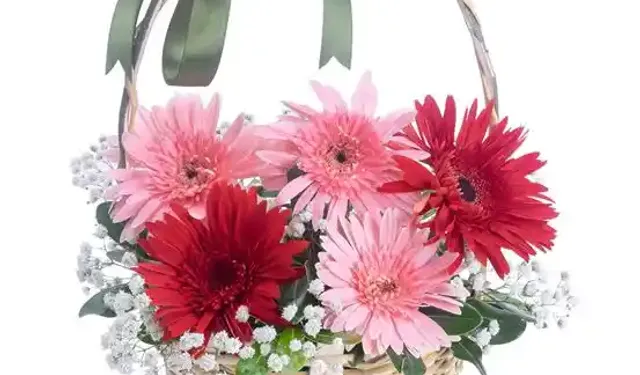 Çiçek Göndermek Neden Hâlâ En Anlamlı Jestlerden Biri?