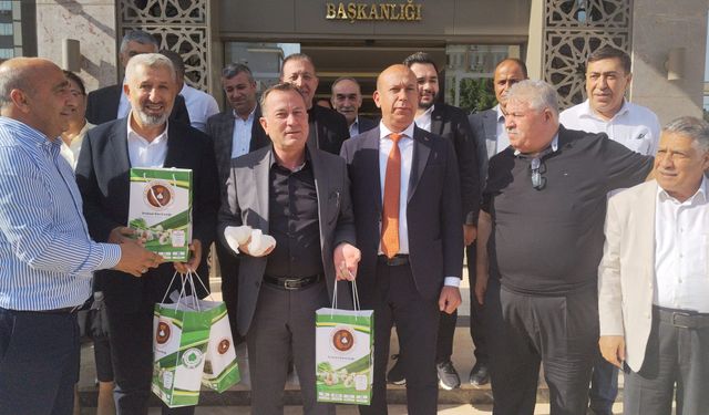 Gergin Meclis Toplantısına Sarımsak Finali