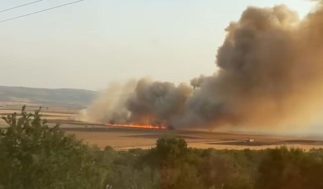 Araban Ovası'nda buğday tarlalarında yangın
