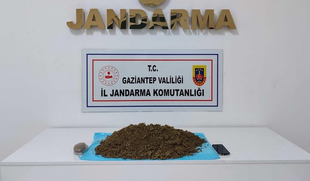 Gaziantep'te 5 kilo skunk ele geçirildi