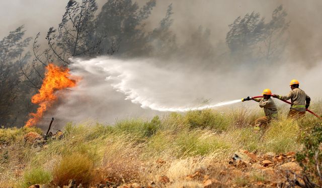OGM'den Kurban Bayramı öncesi yangın uyarısı