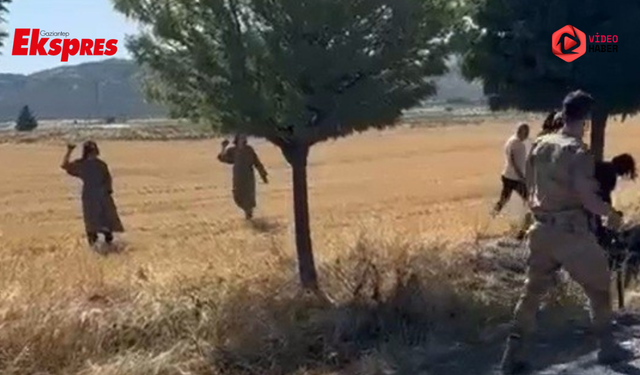 Kaza yaptılar, jandarmaya saldırdılar