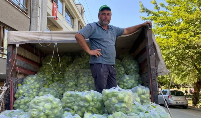 Fahiş Fiyatlara Tepki Gösteren Üretici 5 Ton Biberi Bedava Dağıttı
