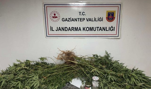 Gaziantep’te zehir tacirlerine darbe: 4 gözaltı