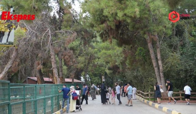 Gaziantep Doğal Yaşam Parkı'nda rekor kırıldı