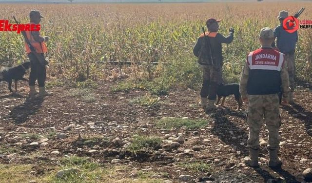 Gaziantep'te tarım arazilerinde sürek avı başladı