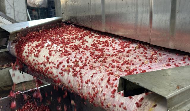 Oğuzeli narında lezzet serüveni başladı
