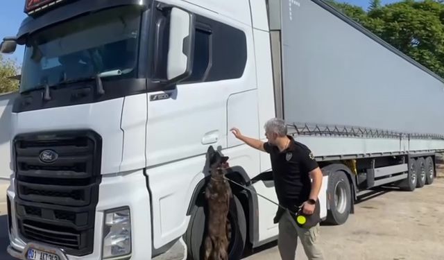 TAG Otoyolu'nda 80 milyon liralık skunk operasyonu