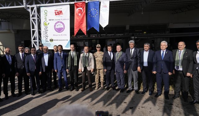 Nizip'te ilk zeytin sıkımı gerçekleşti