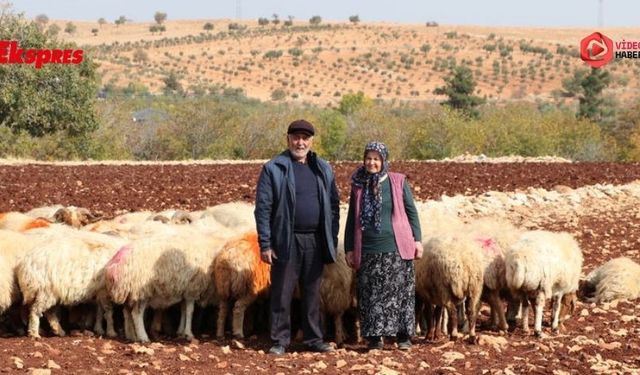 Hayallerini besicilikle büyüttüler