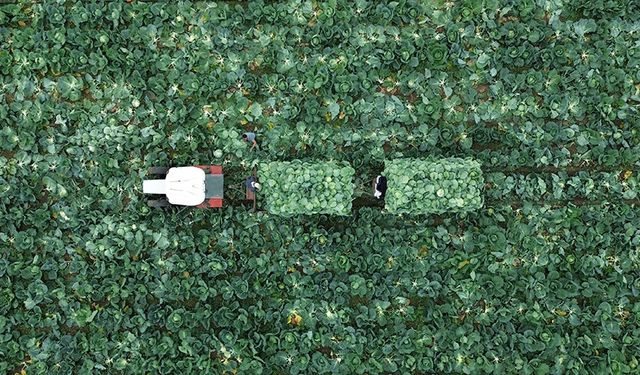 Çiftçi Kayıt Sistemi'ne başvurmak için son tarih 31 Aralık