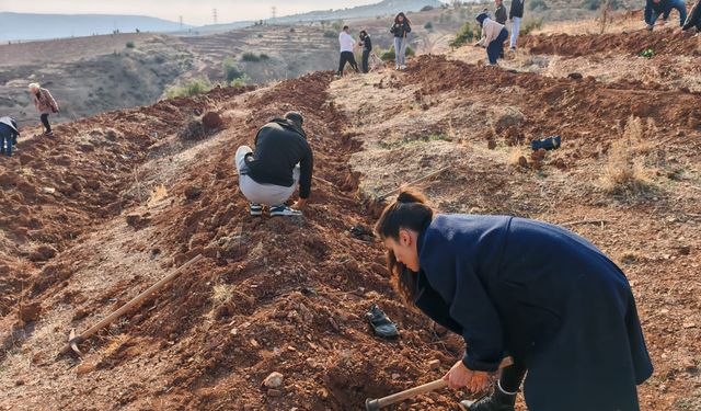 Öğrencilerinden ağaç dikme etkinliği