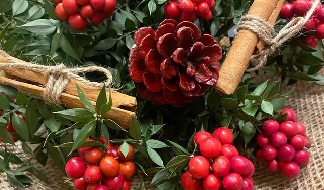 Yalnızca Aralık ayında ortaya çıkan bereket