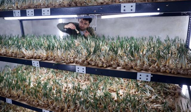 5 kilosuna ev alınıyor! 14 m²’de üretti, ilk hasadına ev aldı