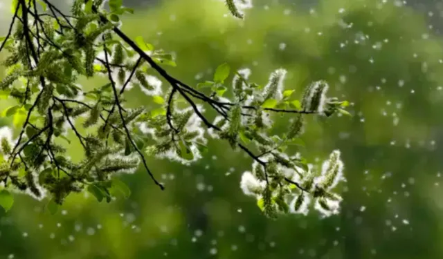 2026’da İlk cemre ne zaman düşecek