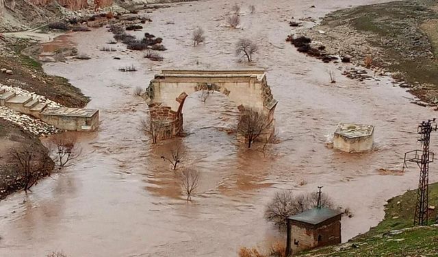 Araban Ovası’nda su seviyesi yükseldi