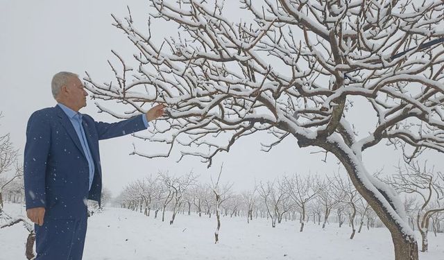 Araban'da kar yağışı çiftçinin sevindirdi