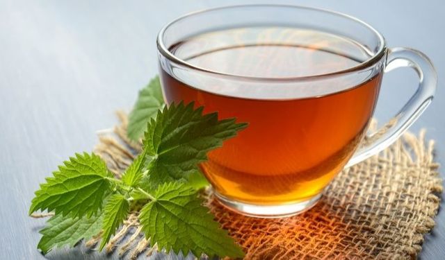 Melisa çayı nedir, Nasıl yapılır, Ne zaman içilir?