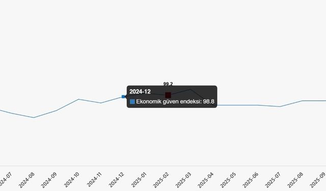 Türkiye İstatistik Kurumu verileri gerçeği yansıtıyor mu?