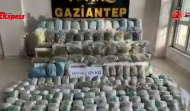 Gaziantep’te narkotik operasyonu: 121 kilo skunk ele geçirildi