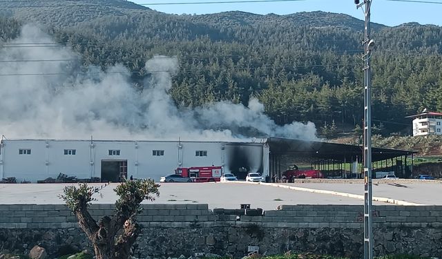 İslahiye’de biber fabrikasında korkutan yangın