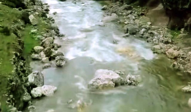 Araban’da kuruyan Ardıl Çayı yeniden hayat buldu
