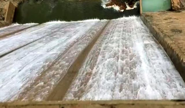 Ardıl Barajı Taştı, Çiftçinin Yüzü Güldü