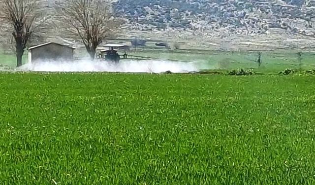 Araban’da sarı pas riskine karşı ilaçlı mücadele başladı